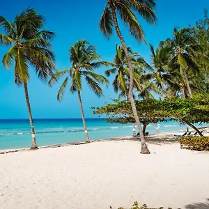 Coconut Court *** Christchurch
